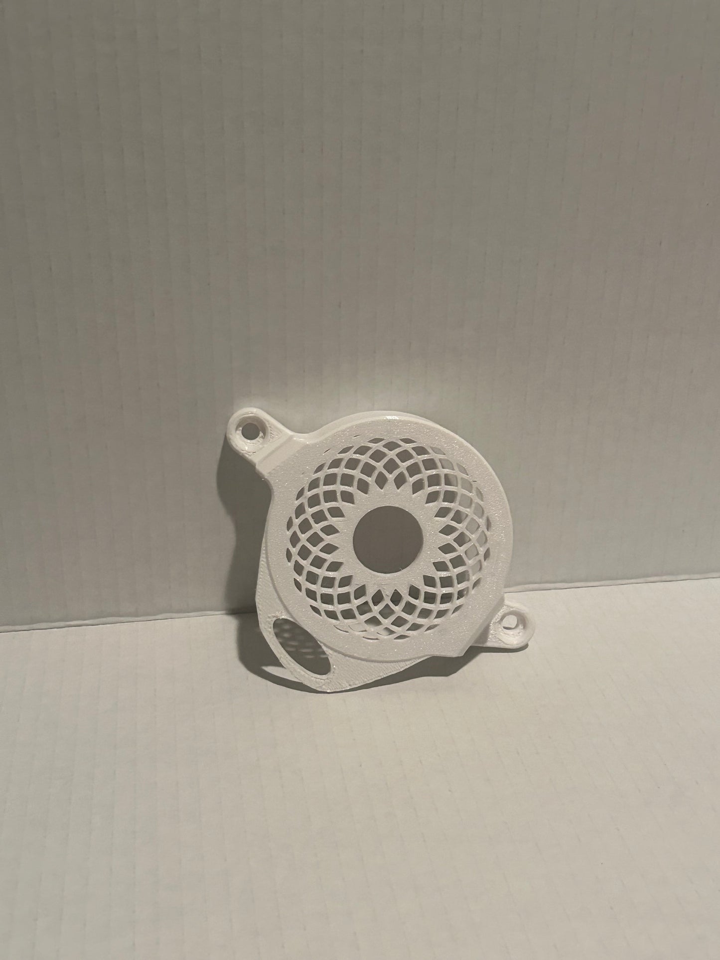 Surron Motor Cover