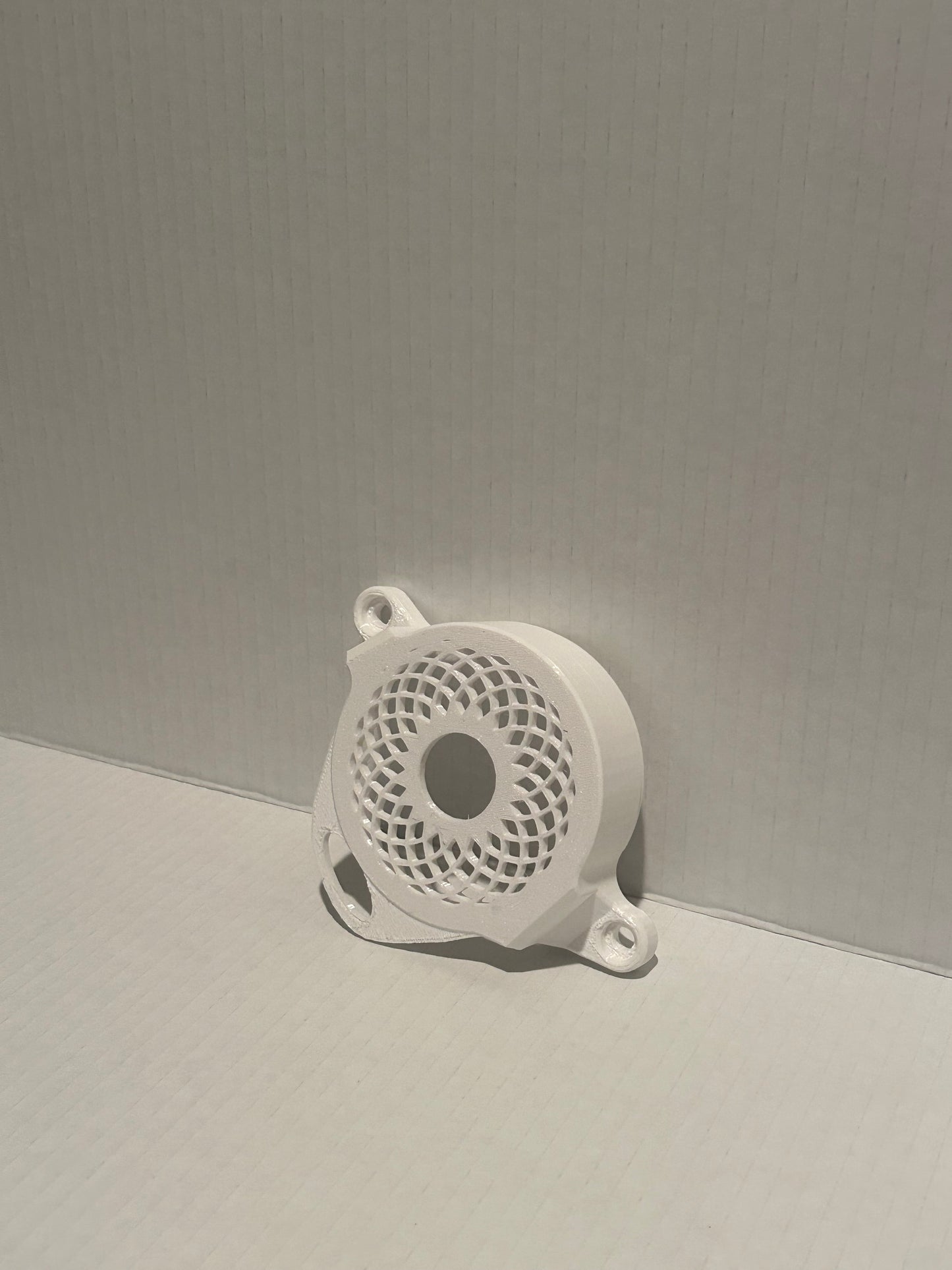Surron Motor Cover